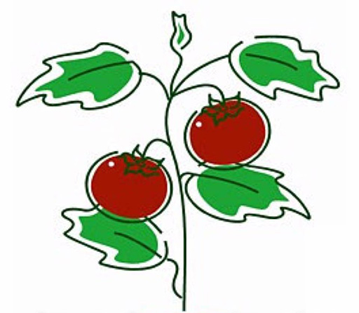 Richmond Community Garden Group logo